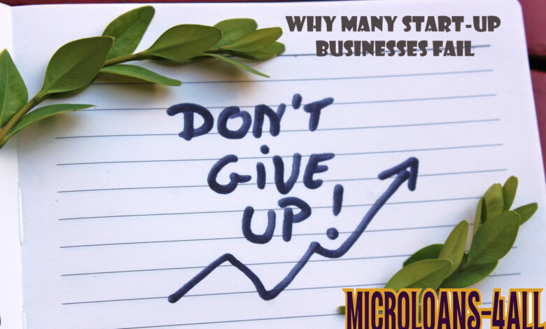 Why Many Start-Up Businesses Don’t Succeed